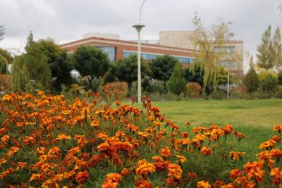 دانشگاه مراغه، دانشگاه تحول آفرین