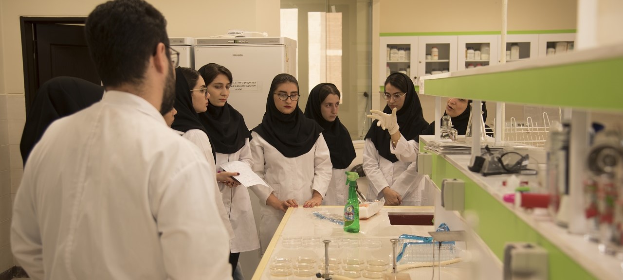 First Responsive Image